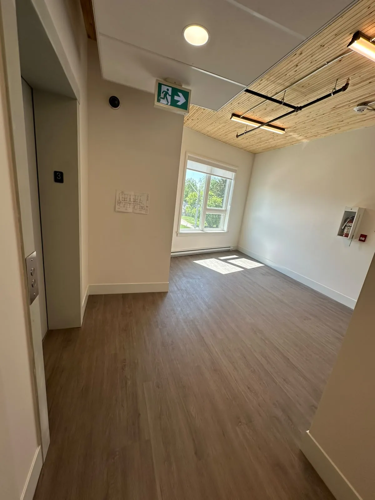 A common room with painted walls and a timber ceiling with suspended lighting