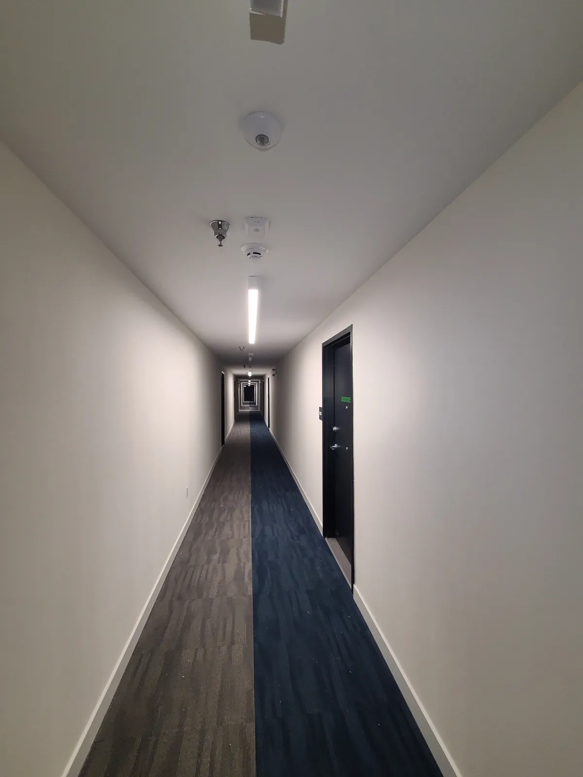 A long residential corridor with freshly painted walls and ceiling