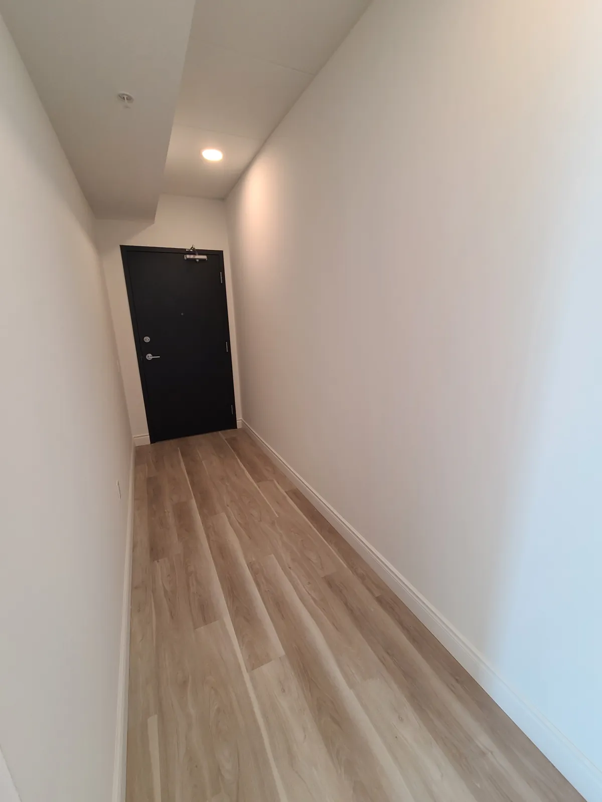 A suite entry hall with painted walls and the inside face of the entrance door