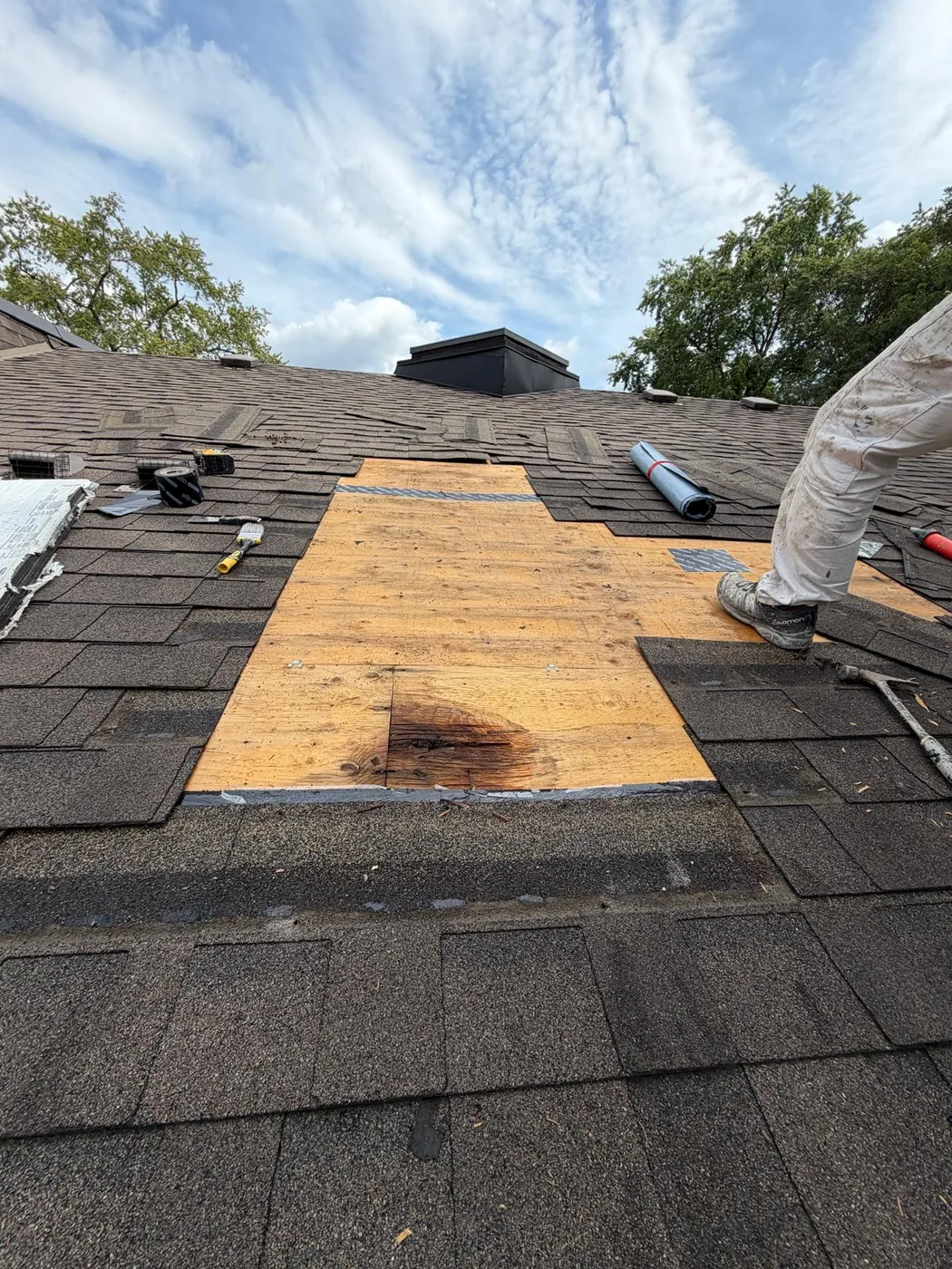 Shingles lifted back and the deck opened up. The dark bloom in the plywood is the water track, and it runs well past the hole that was visible from the ground.