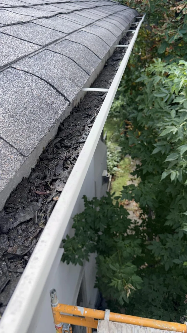 A roof gutter packed solid along its length with black rotted leaf debris.