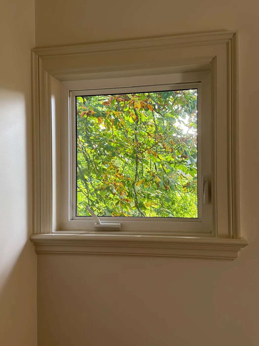 A finished upstairs window with crisp painted casing and sill, autumn leaves outside the glass.